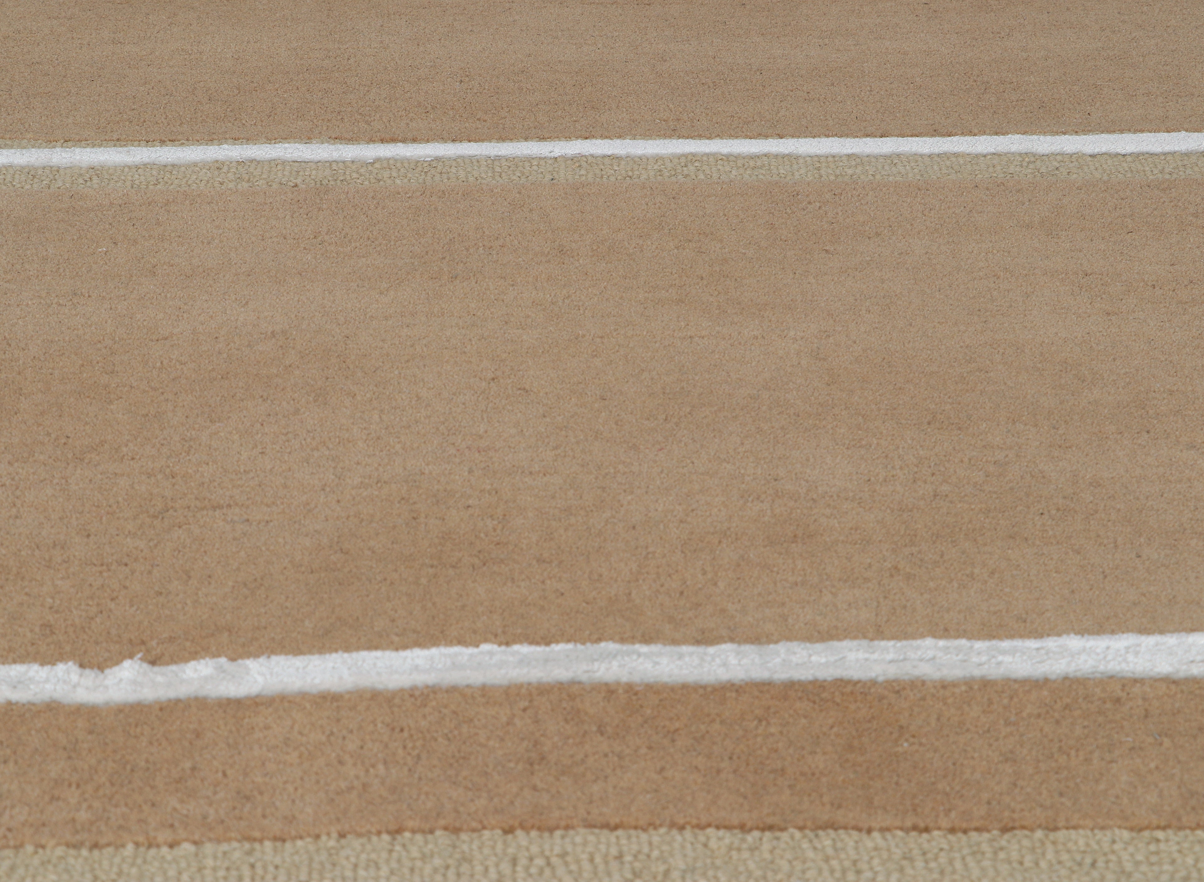 Hand Tufted Wool and Viscose Beige Area Rug