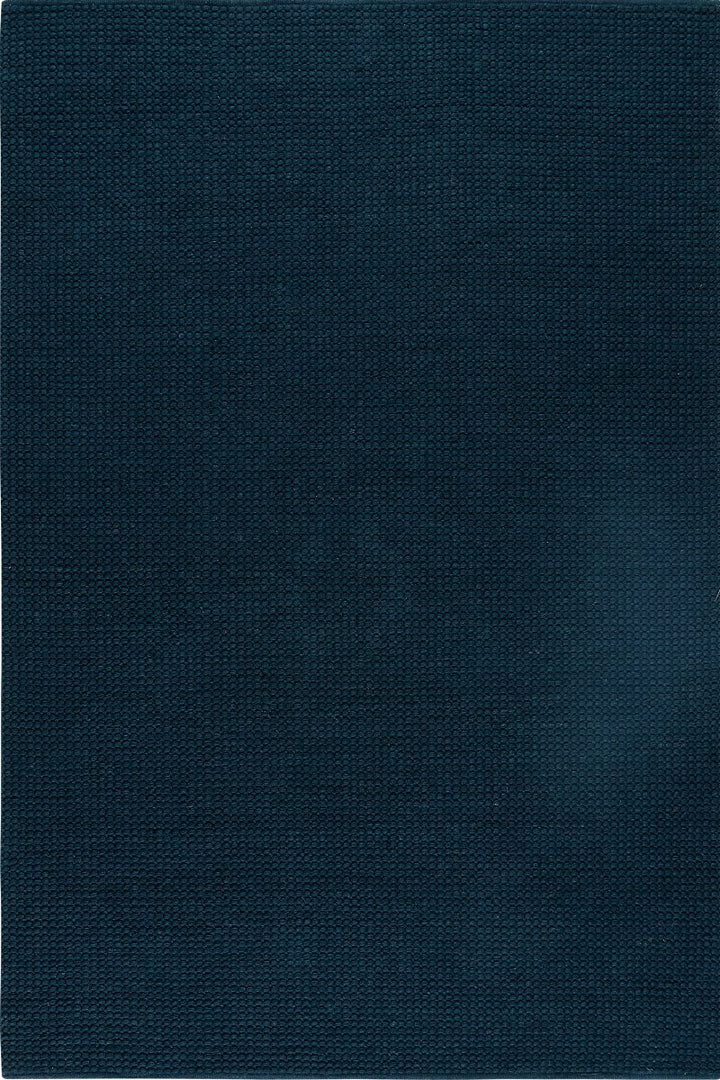 Pitloom PET Blue Flatweave Outdoor Area Rug