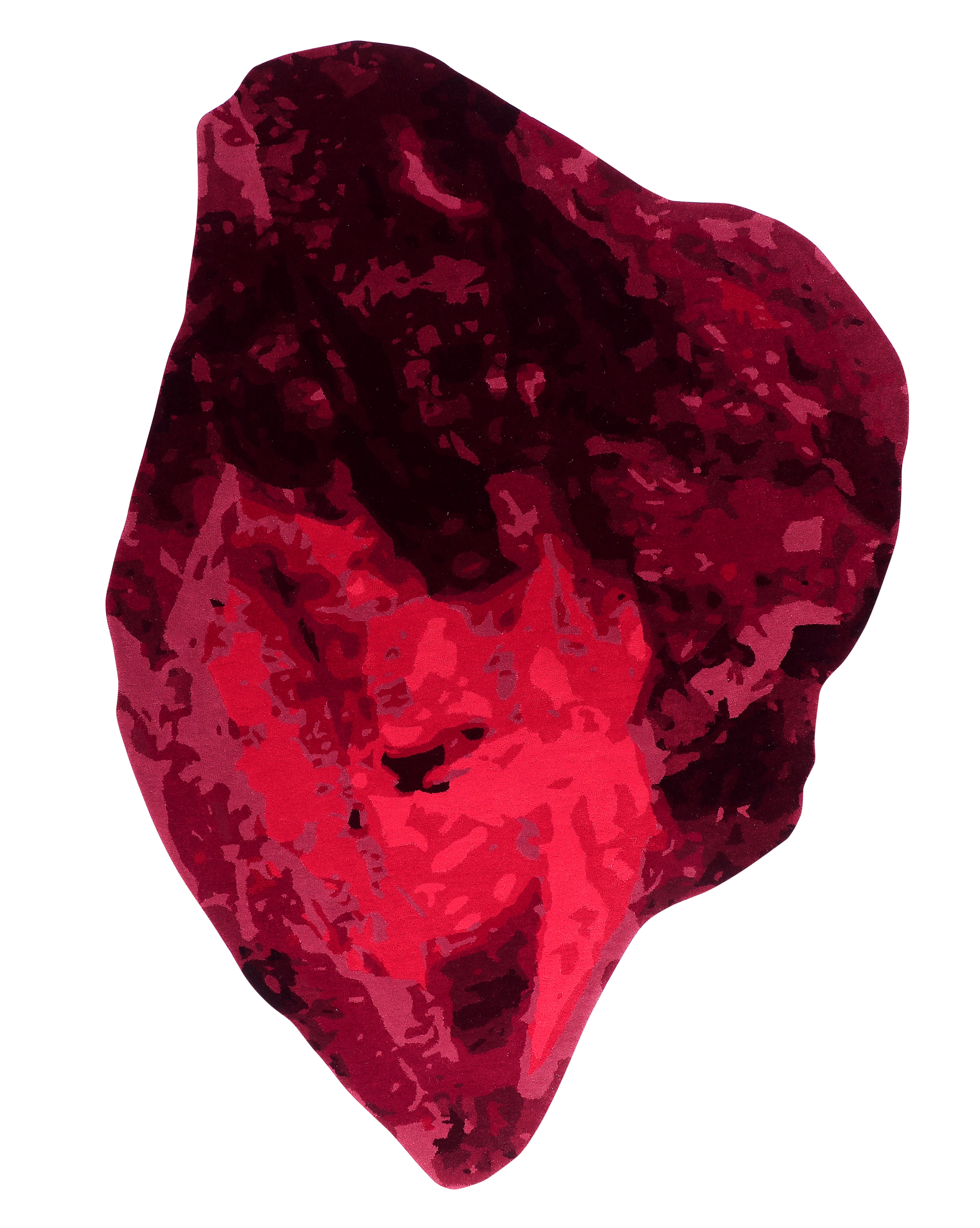 Hand Tufted Wool Shaped  Red Area Rug