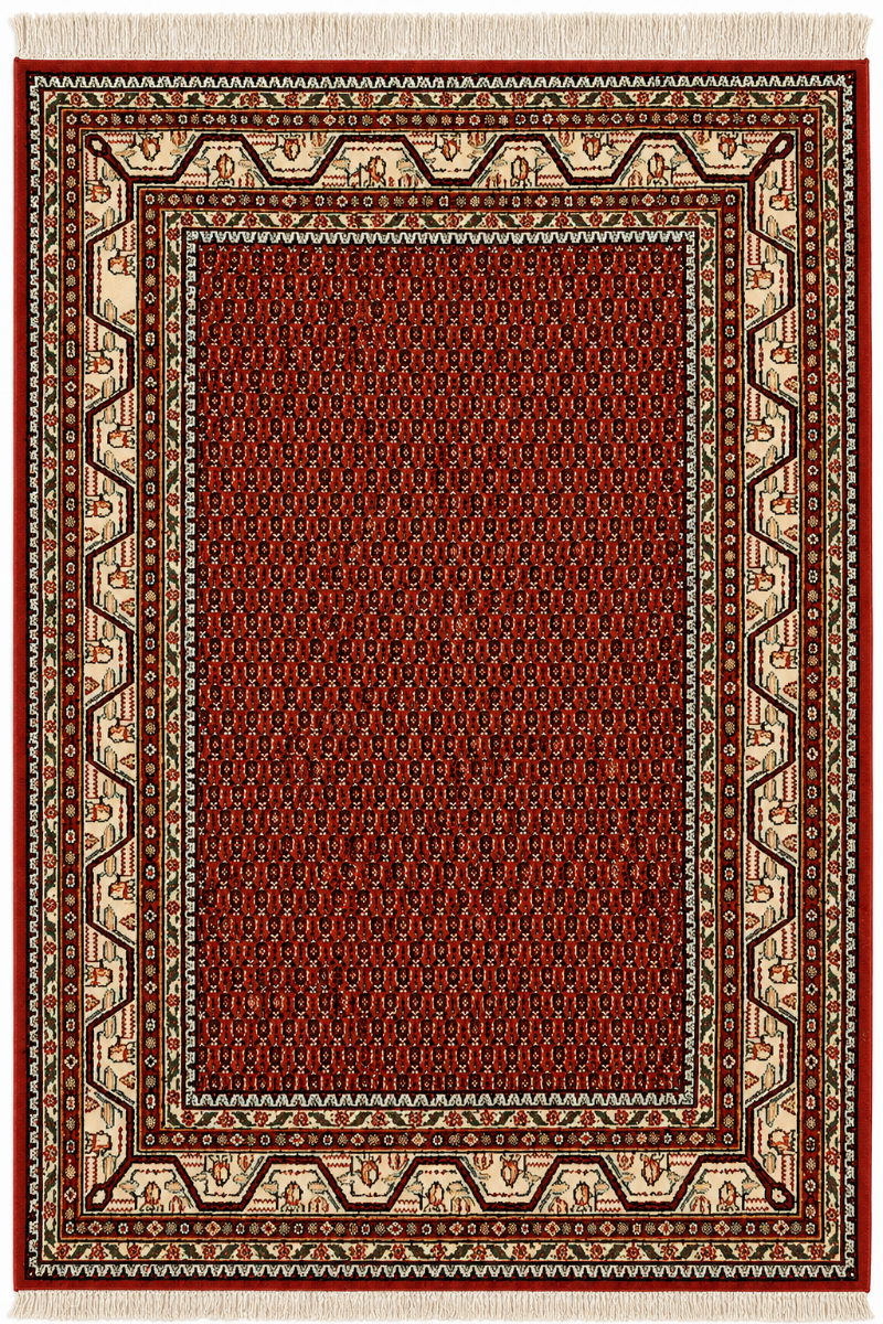 Hand Knotted Wool Red Area Rug