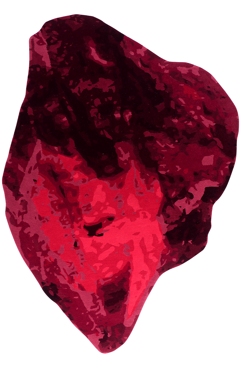 Hand Tufted Wool Shaped  Red Area Rug