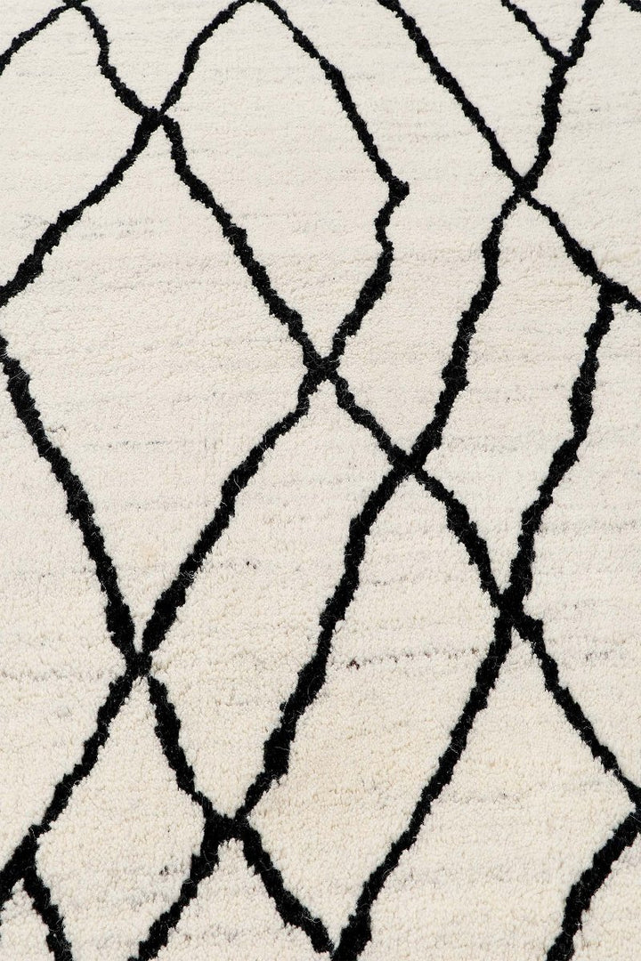 Hand Knotted Wool Area Rug