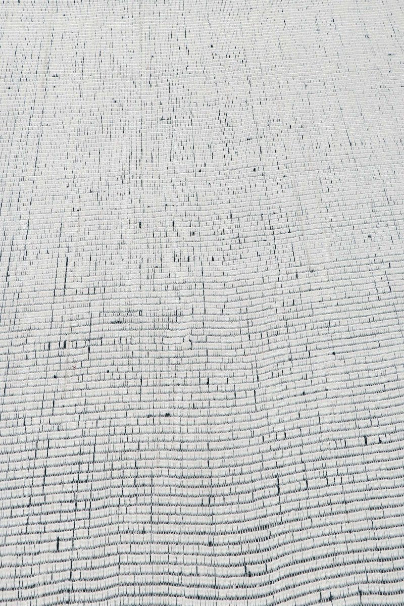 Pitloom PET White Flatweave Area Rug