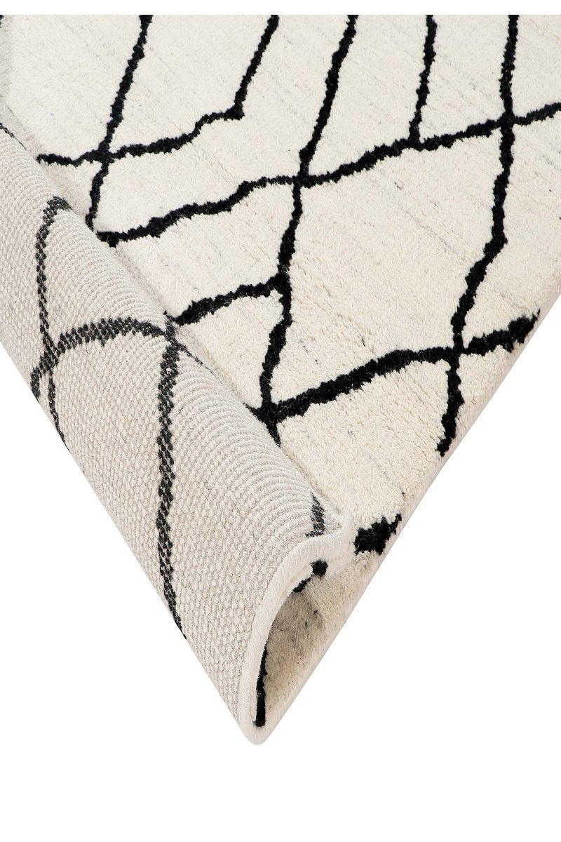 Hand Knotted Wool Area Rug