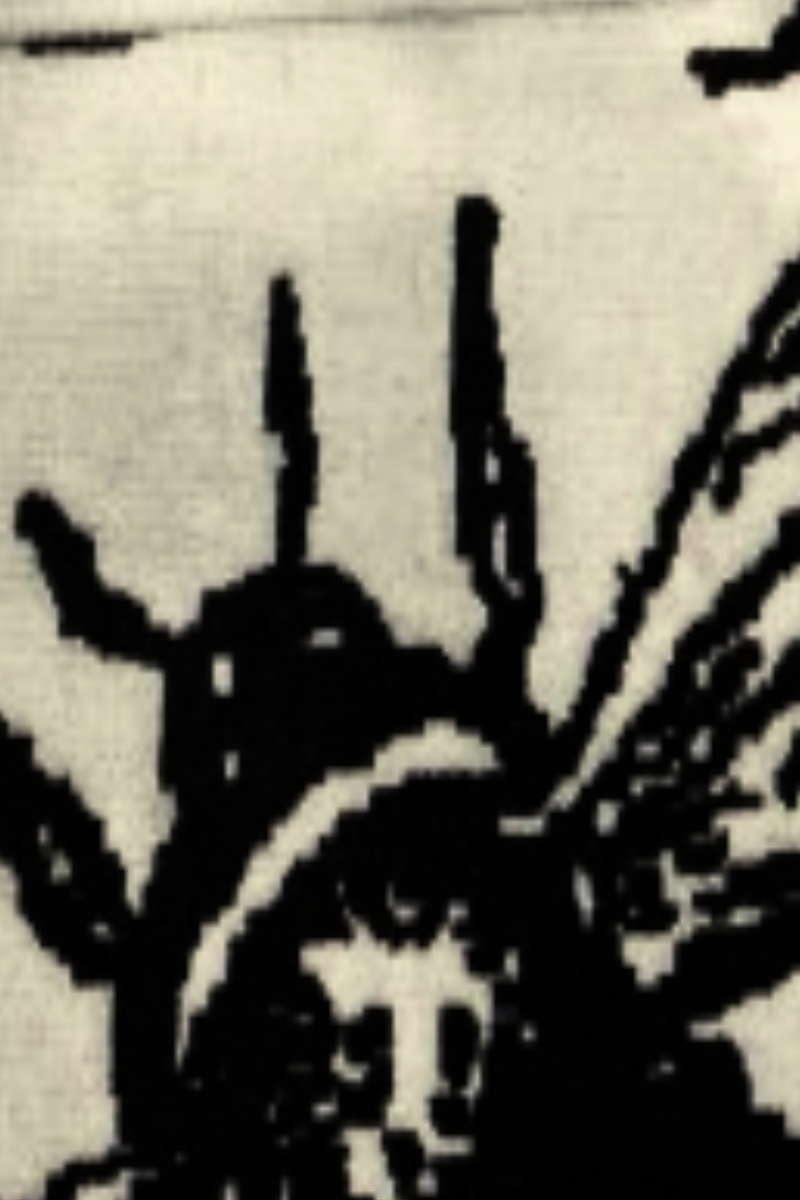 Handloom Cotton Beige Area Rug