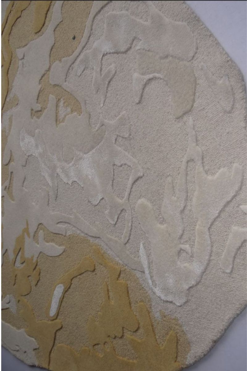 Hand Tufted Wool and Viscose Shaped Area Rug